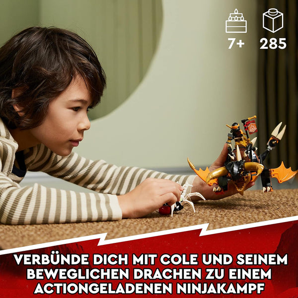 LEGO NINJAGO 71782