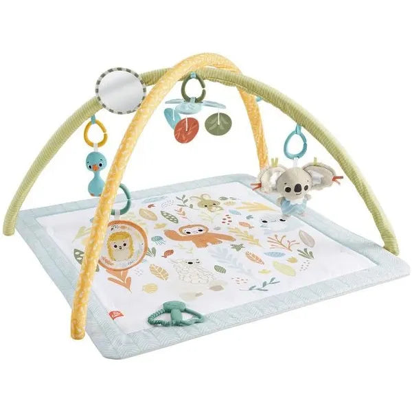 Fisher Price - Simply Senses Newborn Gym