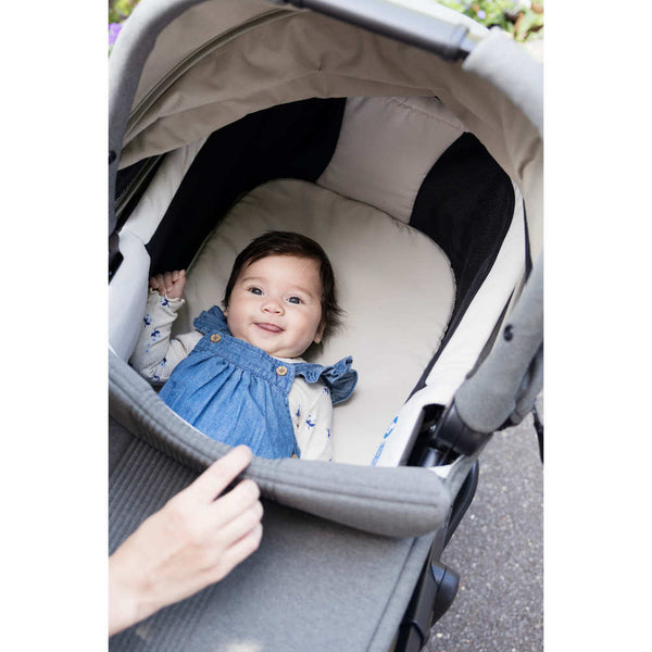 Joie Signature Vinca Eclipse