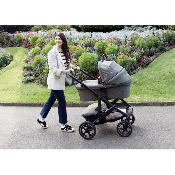 Joie Signature Vinca Evergreen