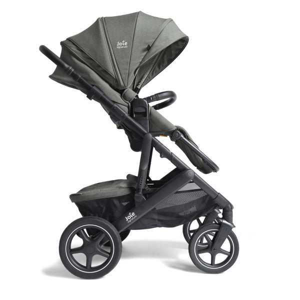 Joie Signature Vinca Evergreen