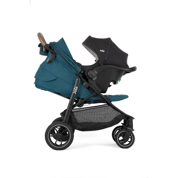 Litetrax™ Pro Peacock