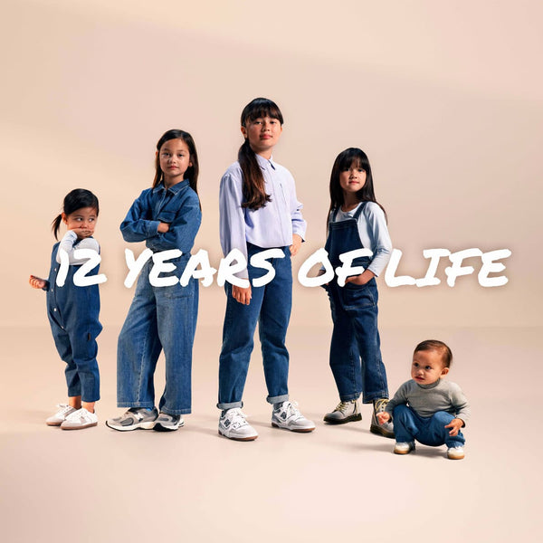 Maxi Cosi Emerald 360 Pro Kindersitz (0-12 Jahre) Authentic Truffle