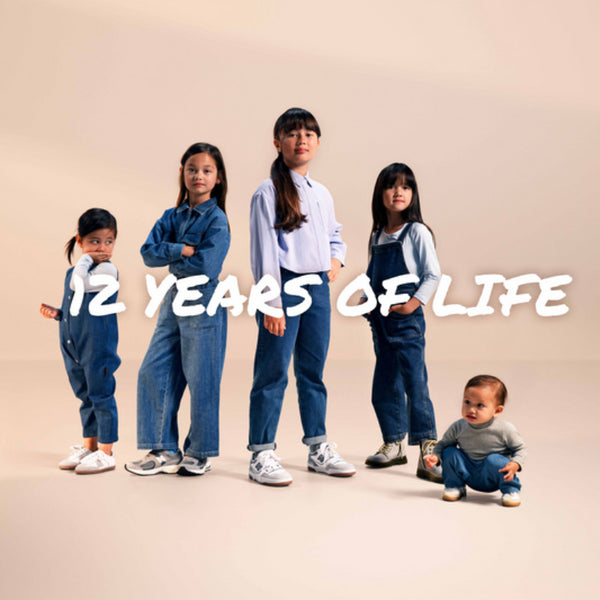 Maxi Cosi Emerald 360 Pro Kindersitz (0-12 Jahre) Authentic Blue