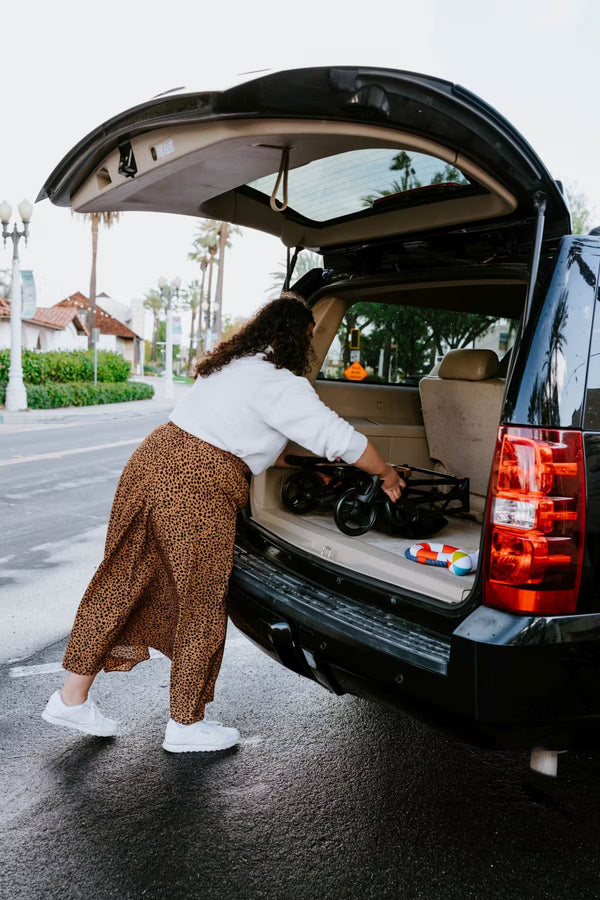 Wonderfold P2 Pet Stroller Grau