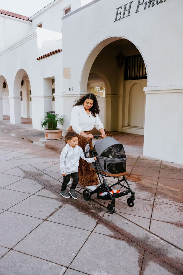 Wonderfold P2 Pet Stroller Grau