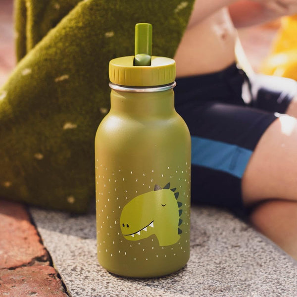 Trixie Trinkflasche 350ml - Herr Dino
