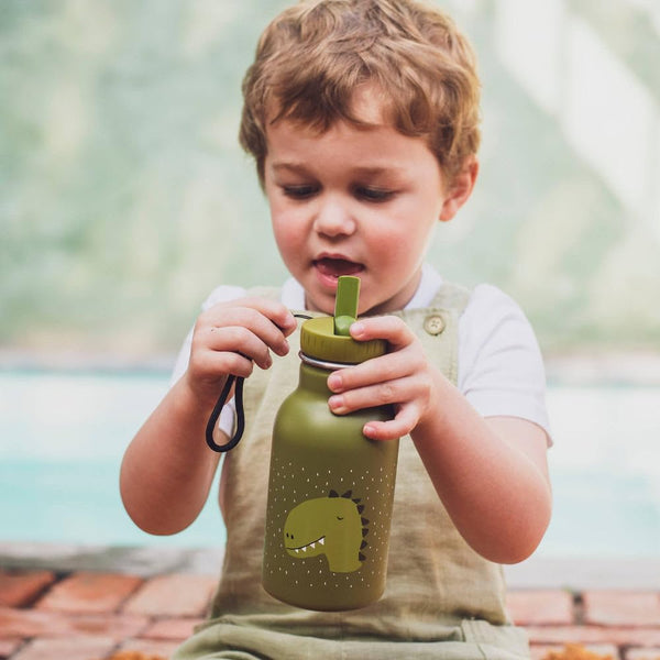 Trixie Trinkflasche 350ml - Herr Dino