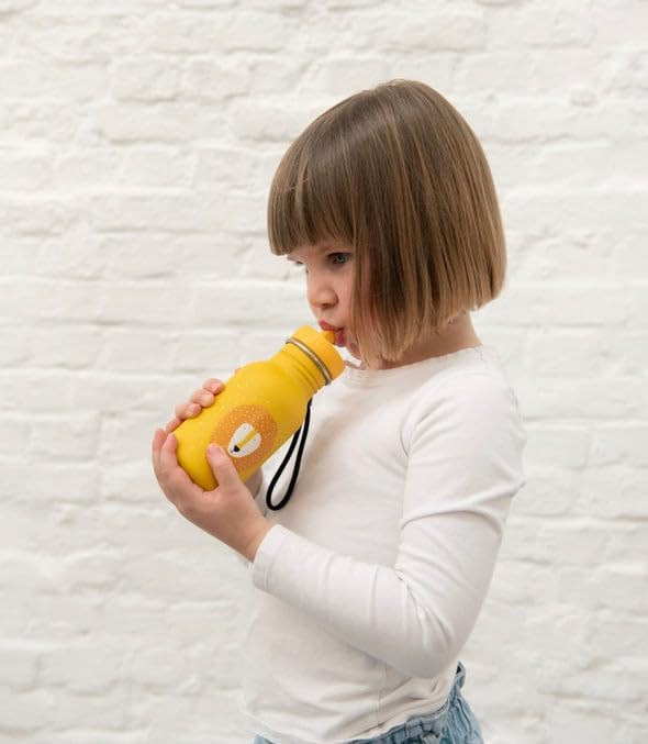 Trixie Trinkflasche 350ml - Herr Löwe