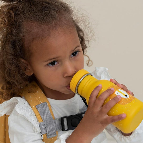 Trixie Trinkflasche 350ml - Herr Löwe