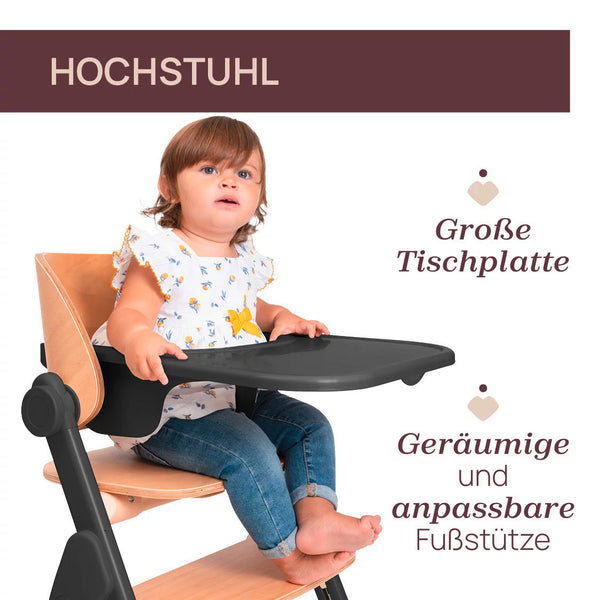 Chicco Hochstuhl Meraviglia Buche/Black 4in1