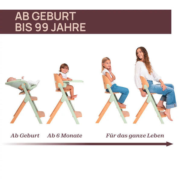 Chicco Hochstuhl Meraviglia Buche/Green 4in1