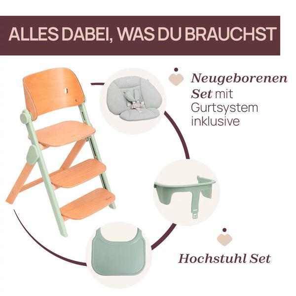 Chicco Hochstuhl Meraviglia Buche/Green 4in1