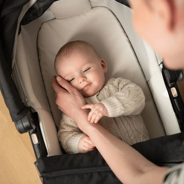 Nuna Swivv Granite + Babywanne Lytl