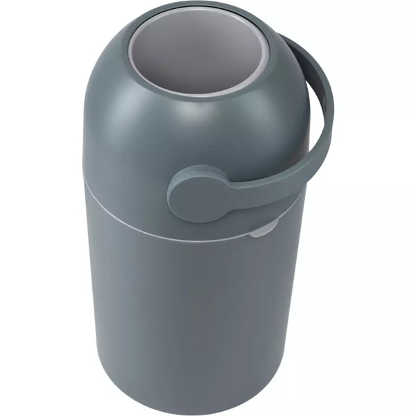 Magic Majestic Windeleimer Sage