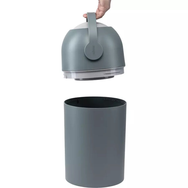 Magic Majestic Windeleimer Sage