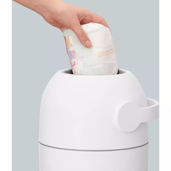 Magic Majestic Windeleimer Sage