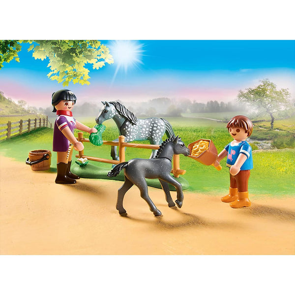 Playmobil 70519