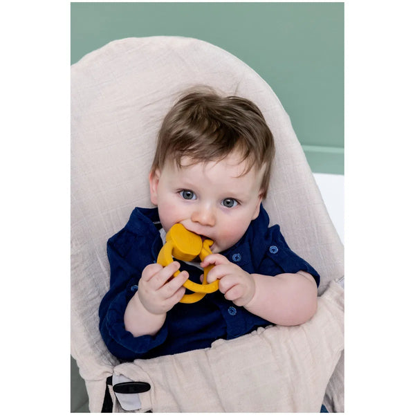 Trixie Sensorischer Beißring Herr Dino