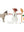 Playmobil Spirit 70398