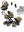 Thule Charm - Faded Khaki 3in1