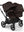 Bugaboo Donkey 6 Twin Cocoa Brown