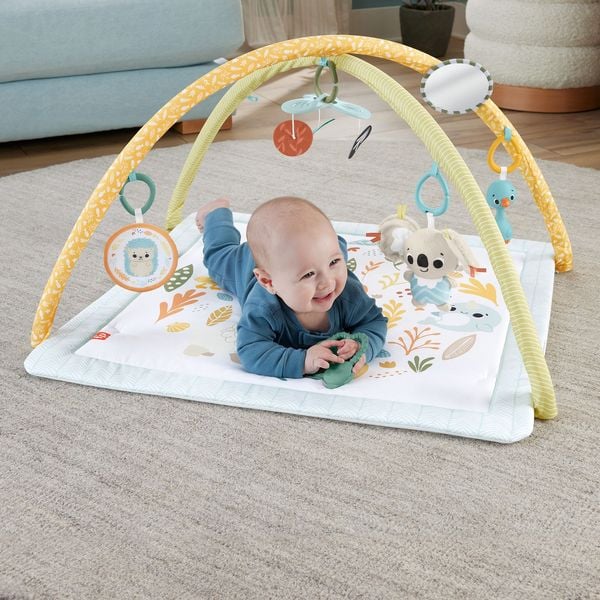 Fisher Price - Simply Senses Newborn Gym