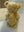 Steiff Teddybär mit Elefantenschablone