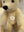 Steiff Teddybär Replika 1922