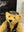 Steiff Teddybär Harley Davidson 