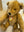 Steiff Teddybär Petsy 1928