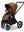 Moon Gio Fold  2026 Cognac