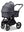 Moon Gio Fold  2026 Graphite