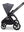 Moon Gio Fold  2026 Graphite