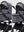 Moon Gio Fold  2026 Graphite