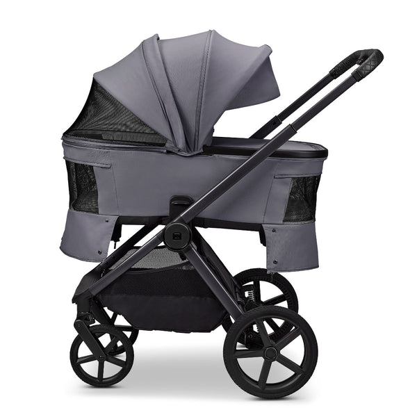Moon Gio Fold  2026 Graphite
