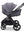 Moon Gio Fold  2026 Graphite