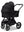 Moon Gio Fold  2026 Onyx