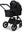 Moon Gio Fold  2026 Onyx