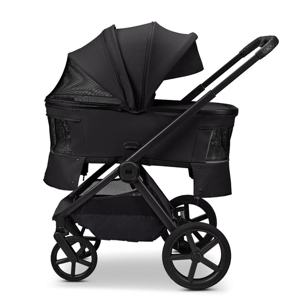 Moon Gio Fold  2026 Onyx