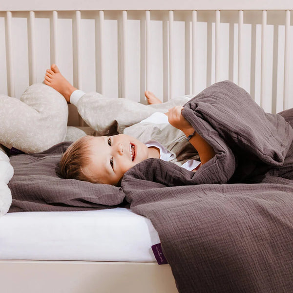 Träumeland Bettwäsche Schokopflaume