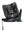 Recaro Kids Xenon 1 KID Gallant Grey (ab 3 Monate - 7 Jahre)