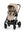Cybex Talos S Lux 2026 + Babywanne Almond Beige