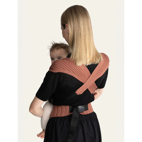 Flybaby Terra