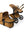 Bugaboo Fox 5 Gestell Noir Amber Glow Limited Edition