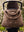Joolz x Studio Noos Day5 inkl. Mom-Bag Hazel Brown (Limited Edition)