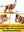LEGO CREATOR 3 IN 1 31129