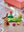 LEGO CREATOR 40523