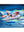 Playmobil 70234