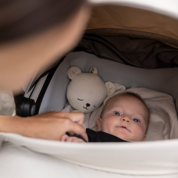 Thule Urban Glide 3 Black + Carry Cot